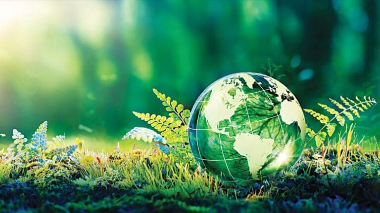 With qualitative projects that enhance its economic competitiveness. The UAE establishes its leadership in the world of sustainability