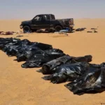 Libya: 21 bodies of migrants found in a mass grave in the east of the country