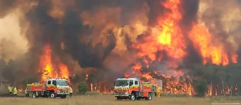 جحيم يزحف على المدن.. حرائق الغابات تُجبر مئات الأستراليين على النزوح جنوبًا وشرقًا