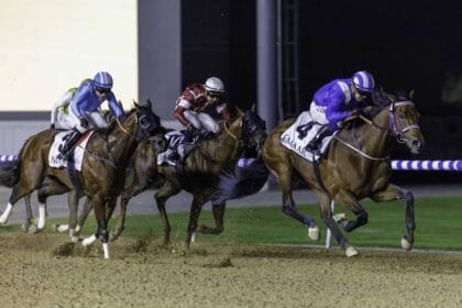 الأمسية الـ"10" لكرنفال سباقات دبي.. 111 خيلاً تتنافس على مضمار "ميدان"