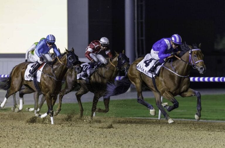 الأمسية الـ"10" لكرنفال سباقات دبي.. 111 خيلاً تتنافس على مضمار "ميدان"