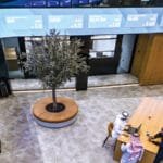 Within a year.. 169.4 billion dirhams pumped by foreigners and institutions into shares «Dubai Financial Market»