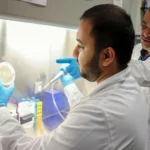 A study in New York and Abu Dhabi reveals the link between oral bacteria and obesity