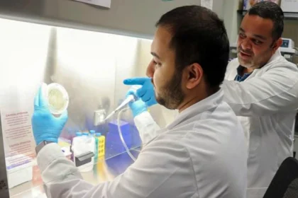 A study in New York and Abu Dhabi reveals the link between oral bacteria and obesity