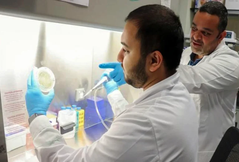 دراسة في نيويورك أبوظبي تكشف علاقة بكتيريا الفم بالسمنة