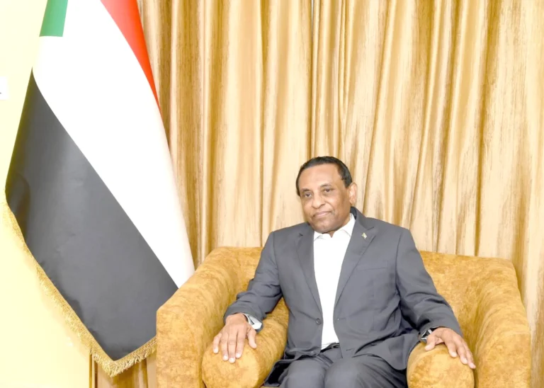 Sudanese Prime Minister Kamil Idris