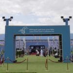 الجمعة.. انطلاق بطولة عجمان لجمال الخيل العربية بمشاركة واسعة وتجهيزات عالمية