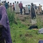 Nature's fury strikes the heart of wild Africa: devastating floods sweep through Kruger National Park, causing losses exceeding 25 million euros.
