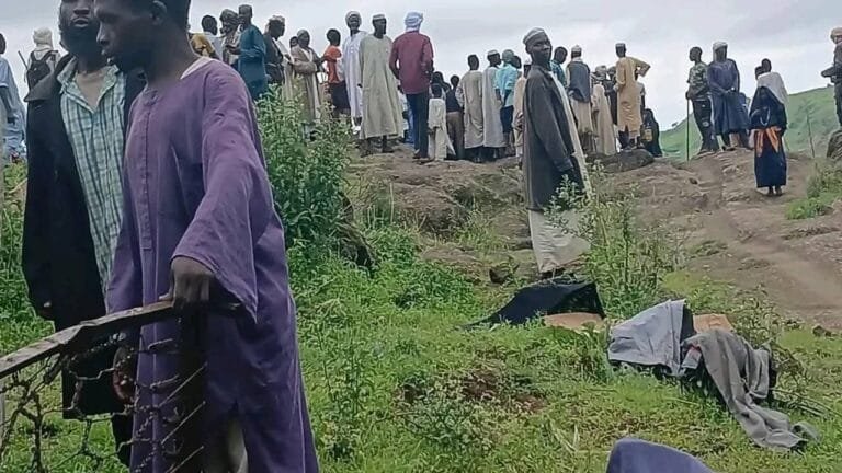 Nature's fury strikes the heart of wild Africa: devastating floods sweep through Kruger National Park, causing losses exceeding 25 million euros.
