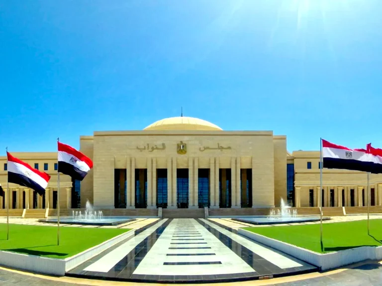 مجلس النواب المصري يعلن بدء إجراءات تشريعية لضبط استخدام الأطفال للهاتف المحمول