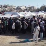 The Gentleman Knight 3.. The UAE continues to support educational points in Gaza