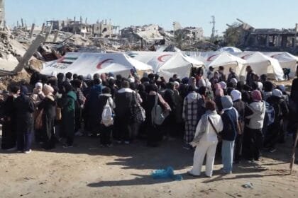 The Gentleman Knight 3.. The UAE continues to support educational points in Gaza