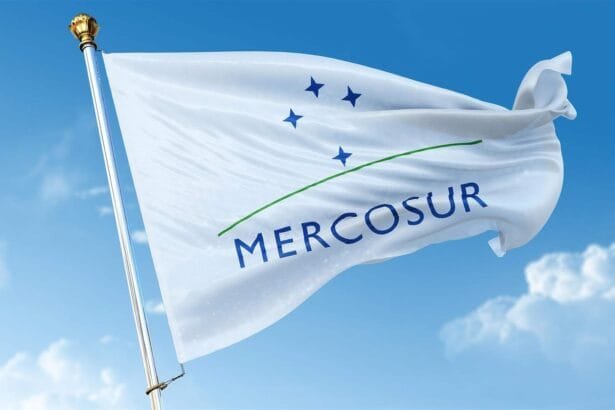 The Mercosur agreement is causing Spain significant losses: meat, milk, and grain are at risk.
