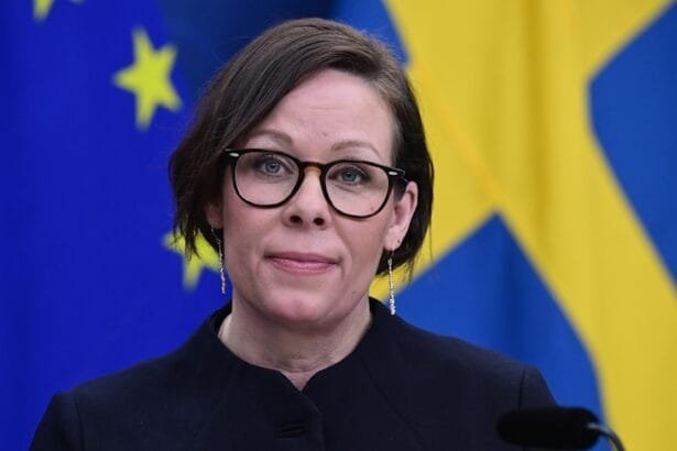 Sweden seeks to include the Revolutionary Guard on the list of terrorist organizations.