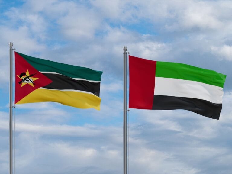 UAE provides urgent relief aid to help those affected by Mozambique floods
