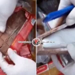 Deadly sweets: Ecuador foils smuggling of cocaine-filled chocolates to Europe