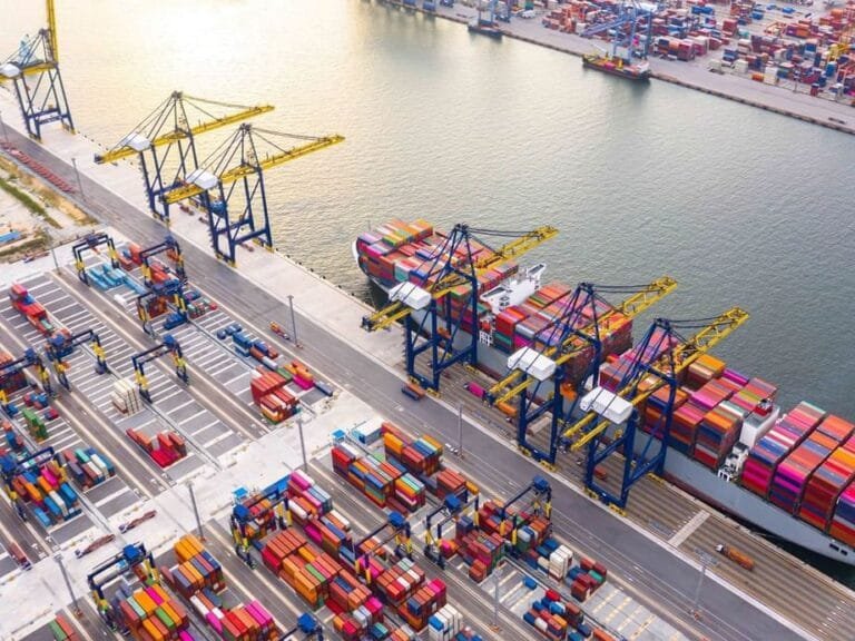 الإمارات ترسخ مكانتها كمحور عالمي لسلاسل الإمداد وتدعم الأمن الغذائي إقليمياً ودولياً