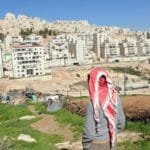UN warning: Alarming demographic changes in the occupied Palestinian territories threaten peace prospects