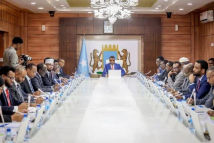 Somalia strengthens its economic steps: Active diplomacy to build sustainable partnerships