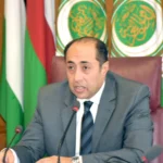 Arabs support Lebanon... Hossam Zaki confirms strengthening the army and internal security forces