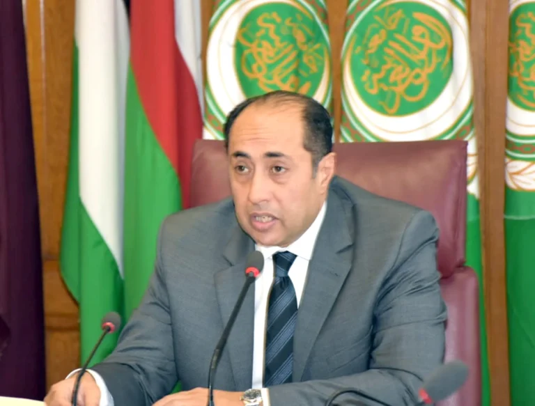 Arabs support Lebanon... Hossam Zaki confirms strengthening the army and internal security forces