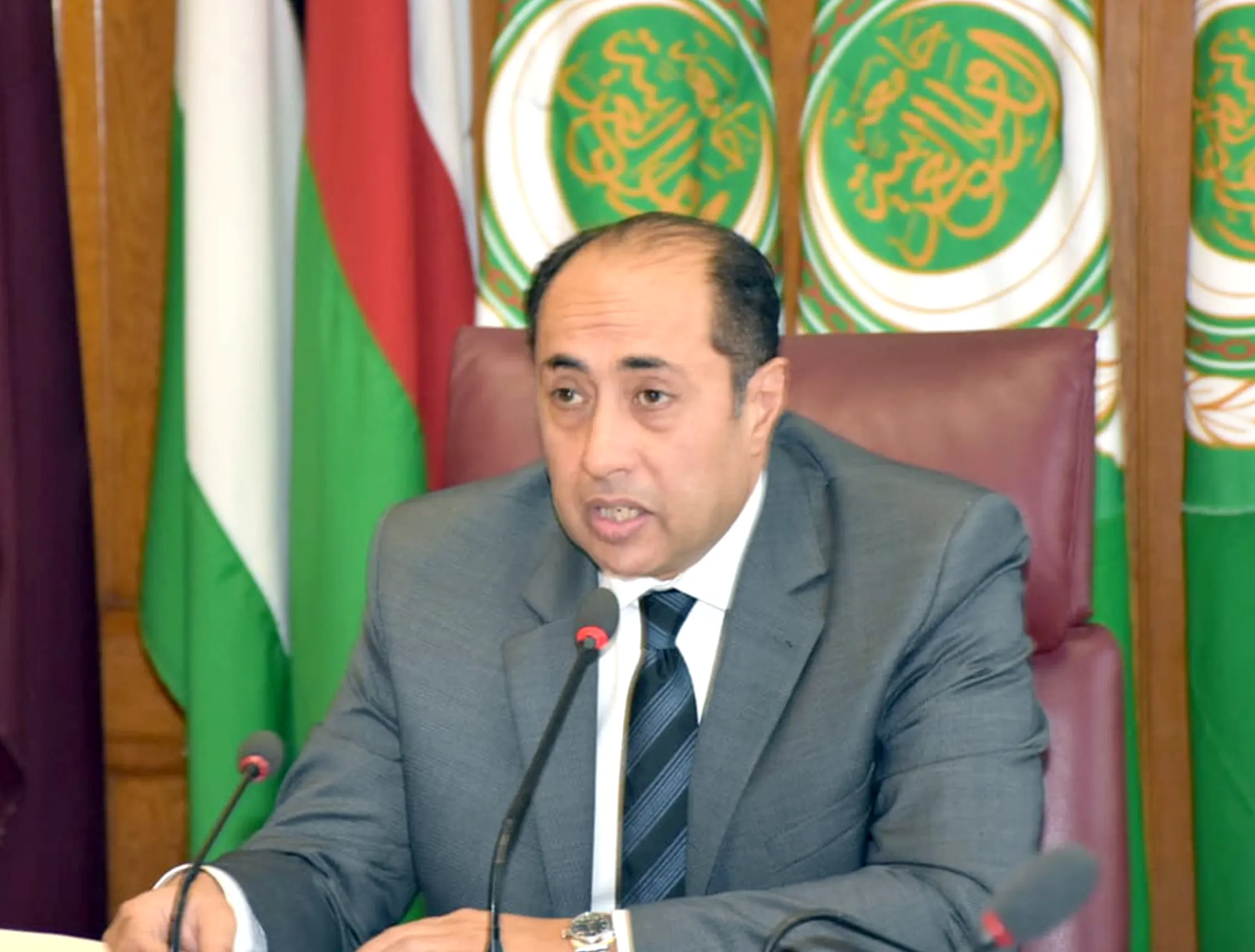 Arabs support Lebanon… Hossam Zaki confirms strengthening the army and internal security forces