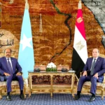 al-Sisi and the Somali president discuss strengthening maritime security and economic cooperation