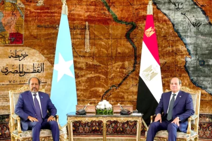 السيسي والرئيس الصومالي يبحثان تعزيز الأمن البحري والتعاون الاقتصادي