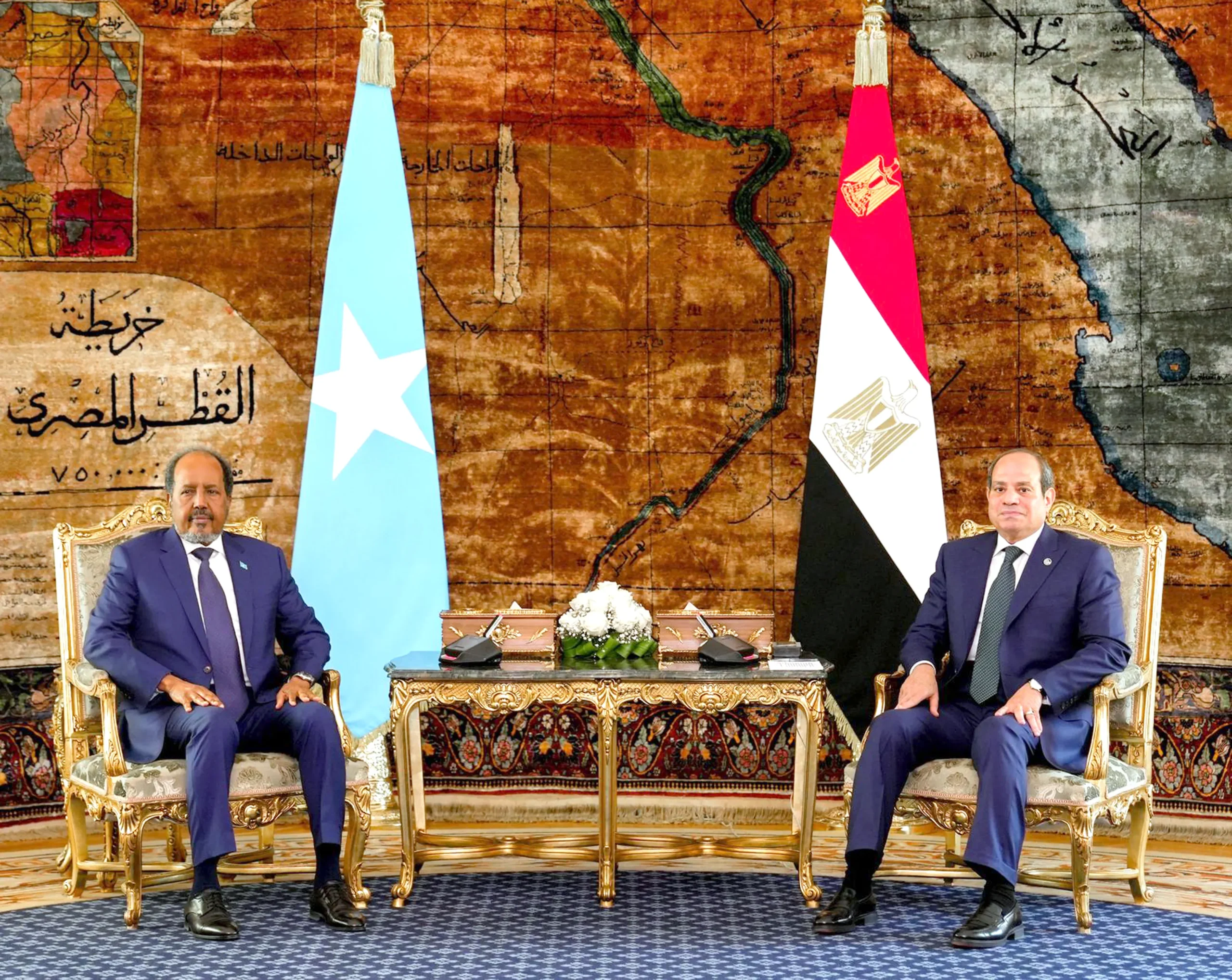 Sisi and the Somali president discuss strengthening maritime security and economic cooperation