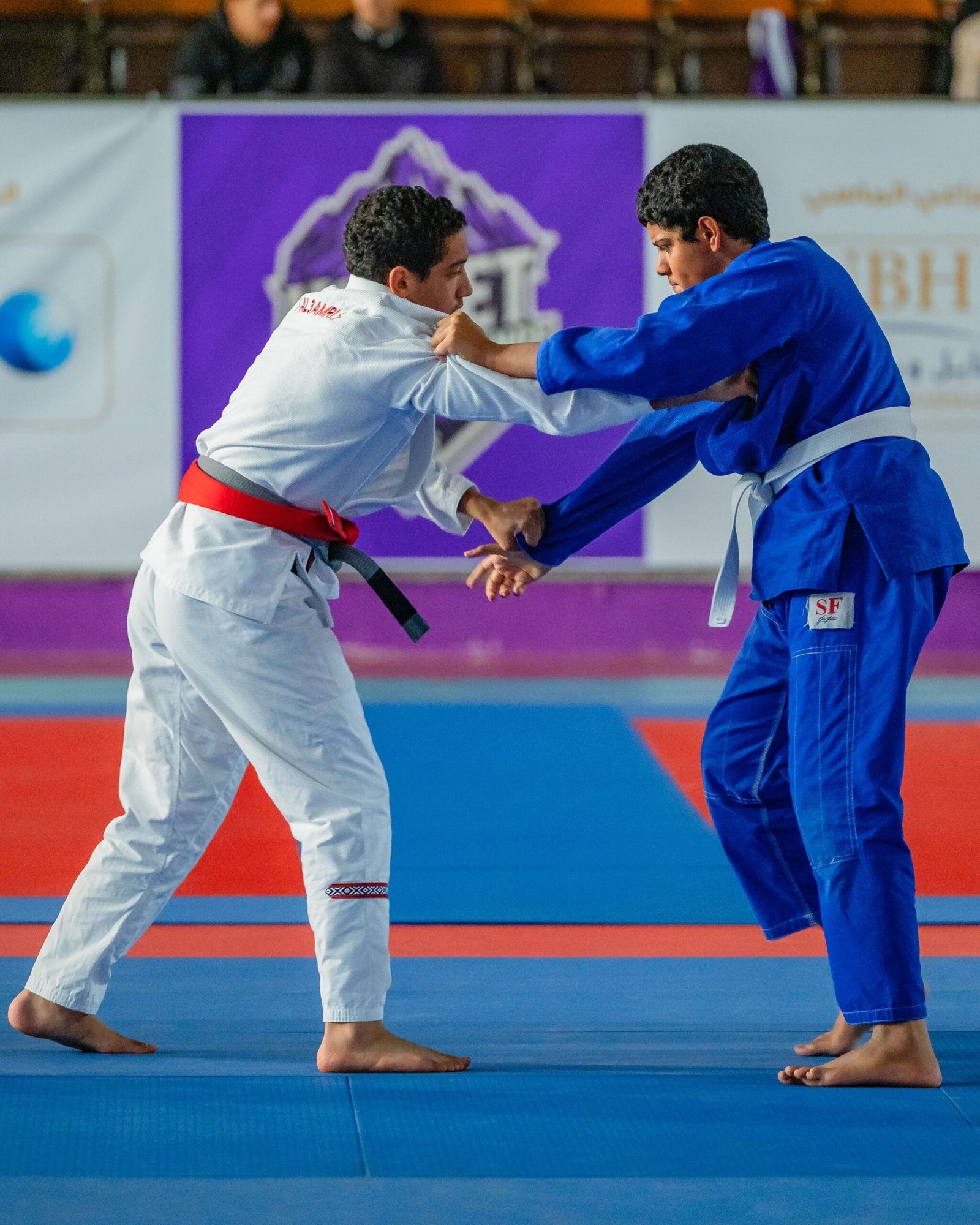 “Havit Sports Challenge.” Al Ain wins Jiu-Jitsu competition