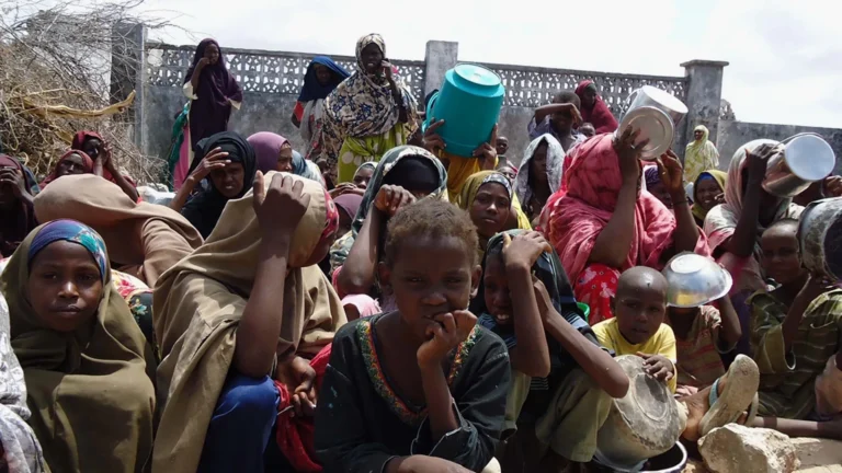 تقارير رسمية: 6.5 مليون شخص يعانون من الجوع الحاد بسبب الجفاف