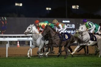 Saturday.. 104 horses compete in the 11th race at Abu Dhabi Racecourse