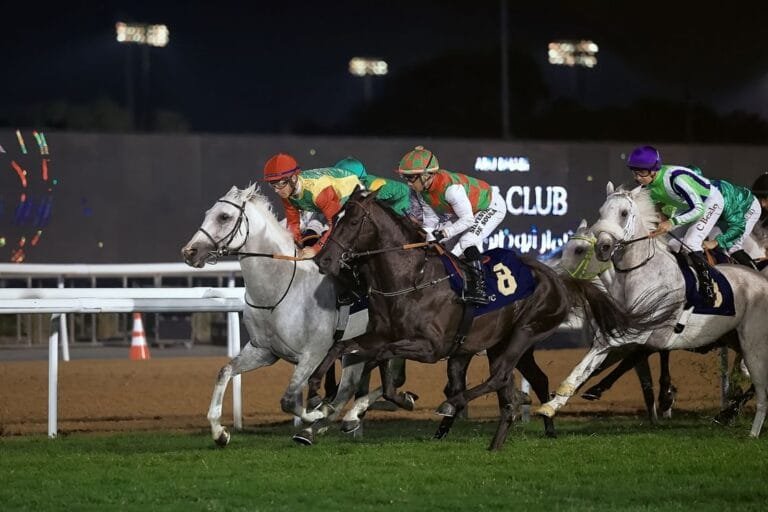 Saturday.. 104 horses compete in the 11th race at Abu Dhabi Racecourse