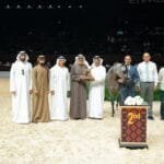 بمشاركة 369 خيلاً.. انطلاق بطولة أبوظبي الدولية لجمال الخيل العربية