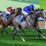 كرنفال سباقات دبي.. 109 خيول تتنافس في الأمسية الـ11