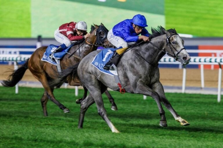 Dubai Racing Carnival.. 109 horses compete in the 11th evening