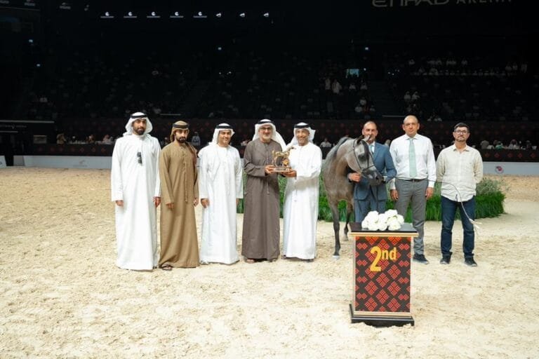 With the participation of 369 horses.. Abu Dhabi International Arabian Horse Beauty Championship kicks off