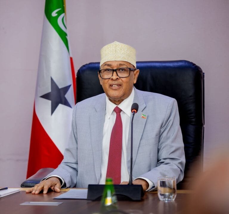 Somaliland offers Washington "exclusive concessions" for minerals and military bases