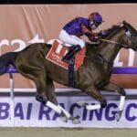 قبل 4 أسابيع من كأس دبي العالمي للخيول.. سباقات قوية في "الإمارات سوبر ساترداي"