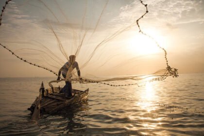 "Social Message" Fujairah fishermen allocate the bulk of their fish to needy families