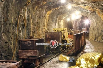 Egypt restores its "gold luster" with a global auction, the first in four years