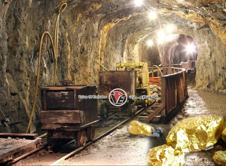 Egypt restores its "gold luster" with a global auction, the first in four years