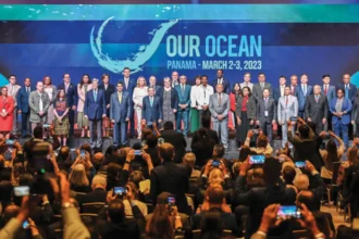 Austria ratifies the High Seas Convention in support of climate protection and biodiversity.