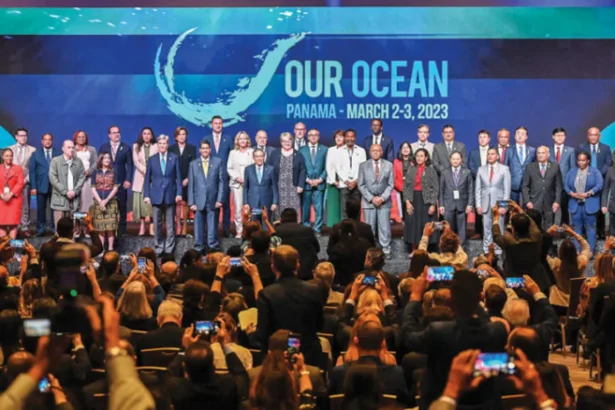 النمسا تصادق على معاهدة أعالي البحار دعماً لحماية المناخ والتنوع البيولوجي