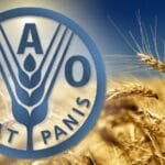 فاو تدق ناقوس الخطر.. 42 مليون إنسان على حافة الجوع فى غرب إفريقيا والساحل