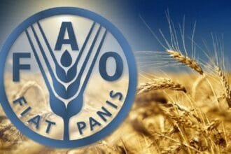 فاو تدق ناقوس الخطر.. 42 مليون إنسان على حافة الجوع فى غرب إفريقيا والساحل