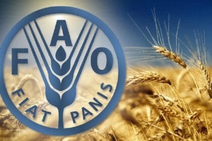 فاو تدق ناقوس الخطر.. 42 مليون إنسان على حافة الجوع فى غرب إفريقيا والساحل