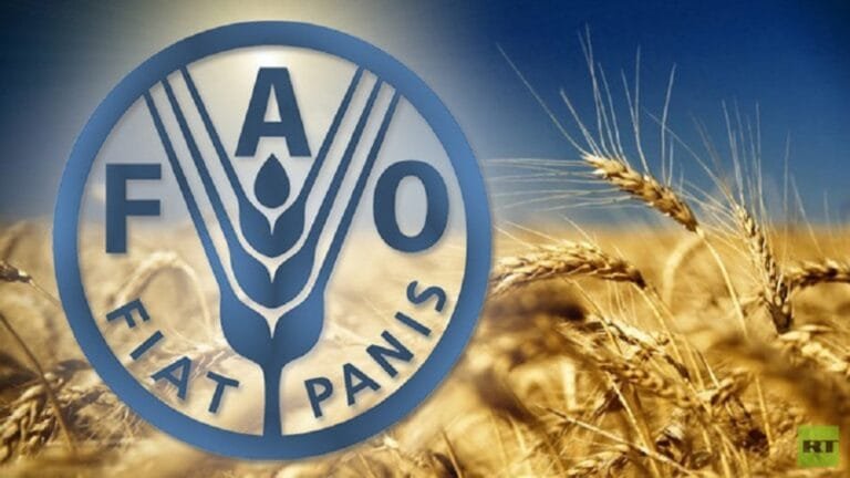 FAO sounds the alarm: 42 million people on the brink of starvation in West Africa and the Sahel
