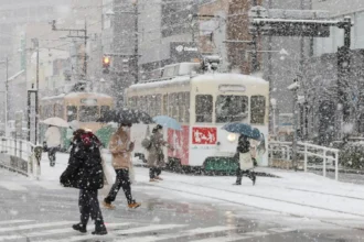 Japan under siege by snow: 35 dead and nearly 400 injured in catastrophic avalanches