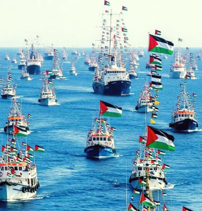 Activists plan the largest flotilla to deliver aid to Gaza